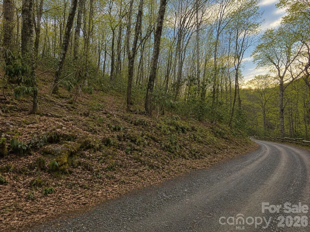10 Tall Oaks Drive #58A & 58B Maggie Valley, NC 28751