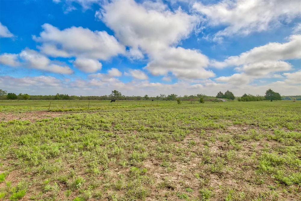 Palmer Lane Oak Grove, TX 75142