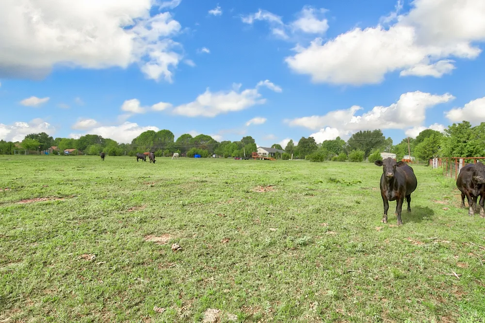 Palmer Lane Oak Grove, TX 75142
