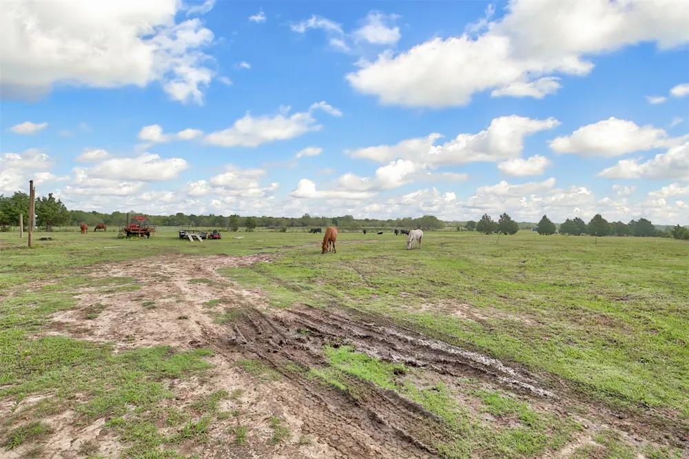 Palmer Lane Oak Grove, TX 75142