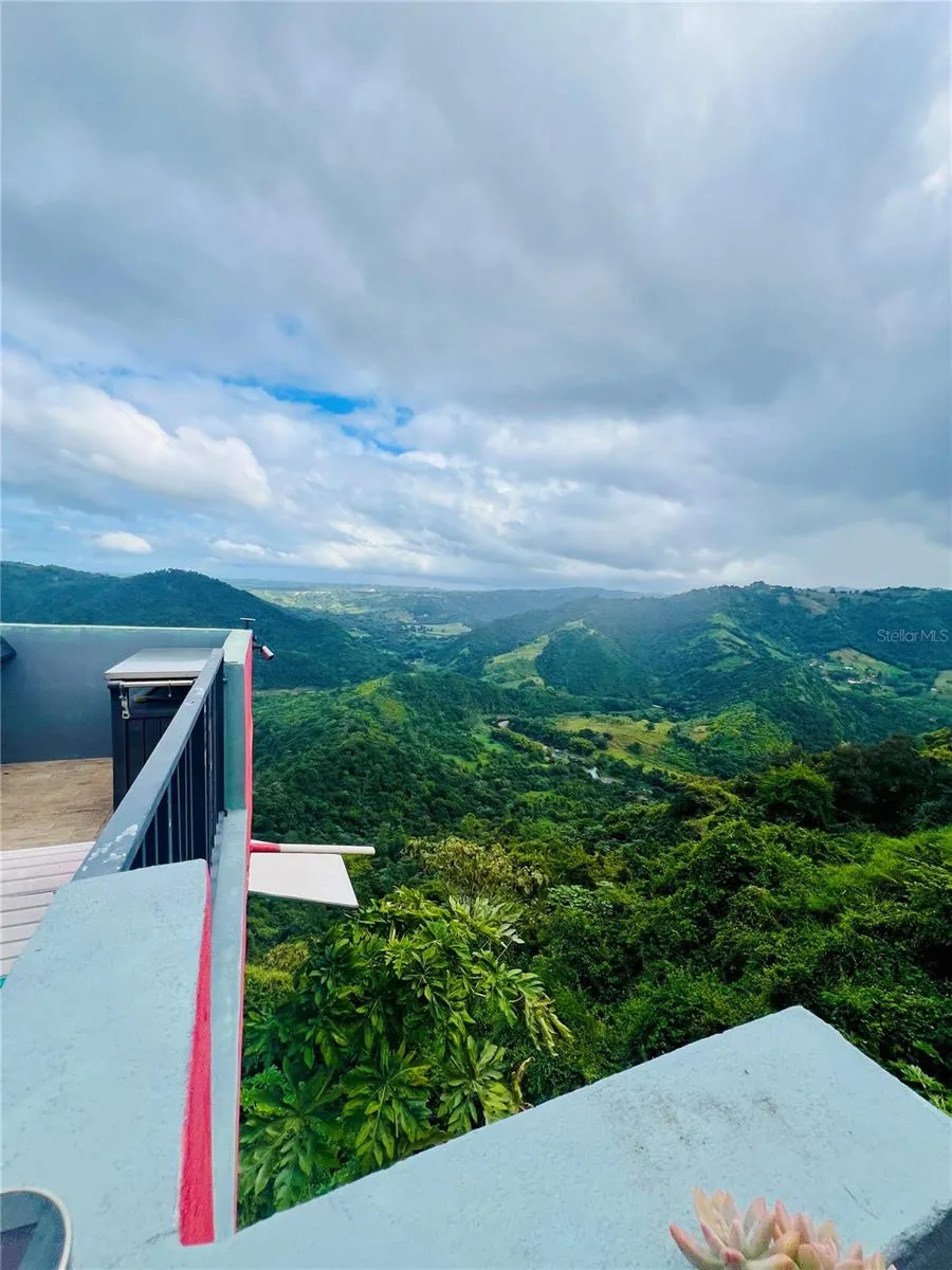 149 ROUTE #KM 18.3 Ciales, PR 00638