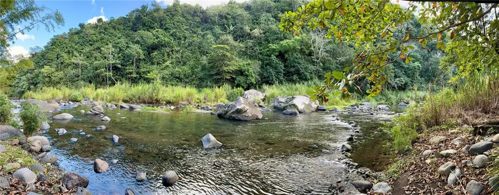149 ROUTE #KM 18.3 Ciales, PR 00638