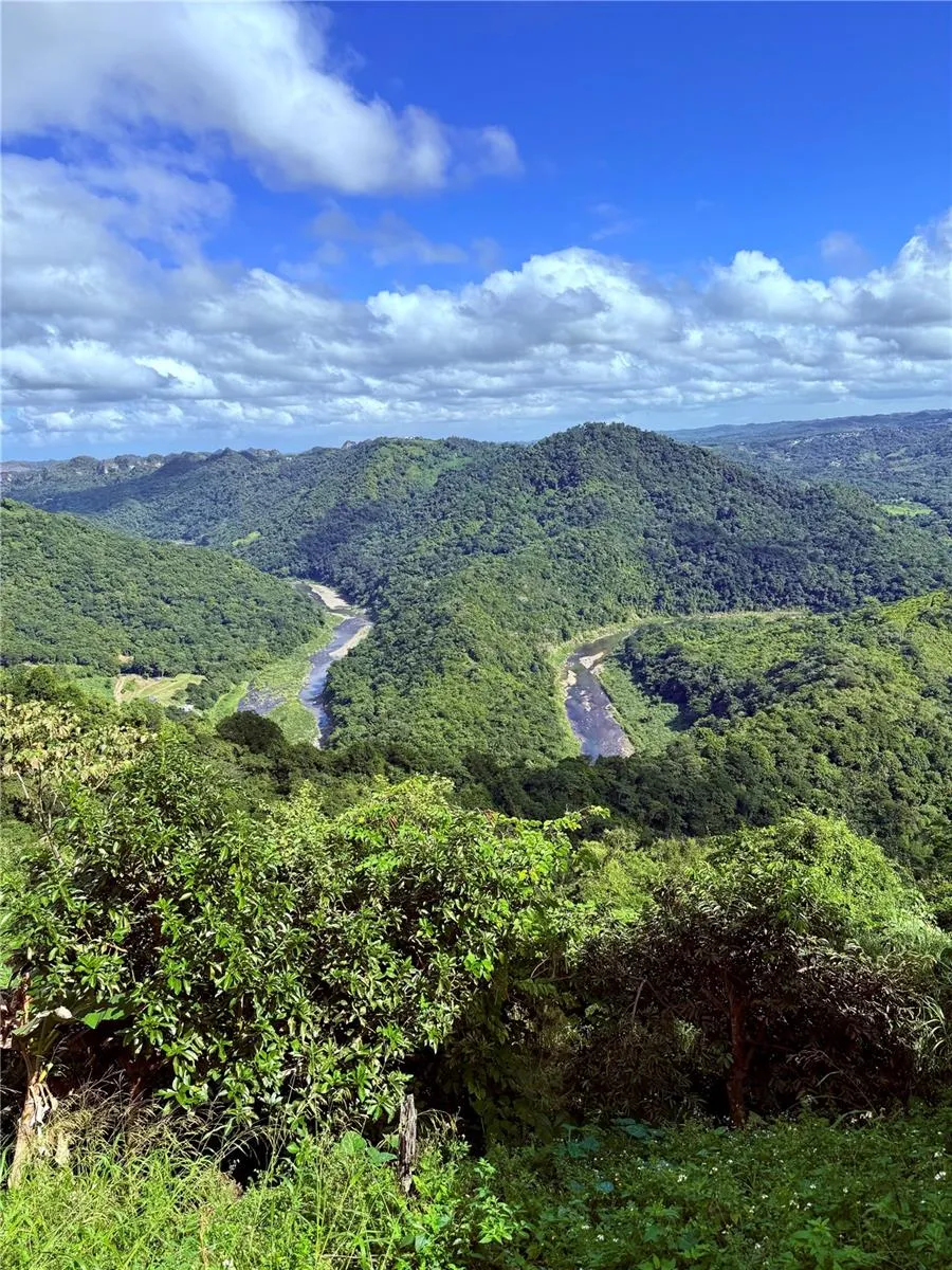 149 ROUTE #KM 18.3 Ciales, PR 00638