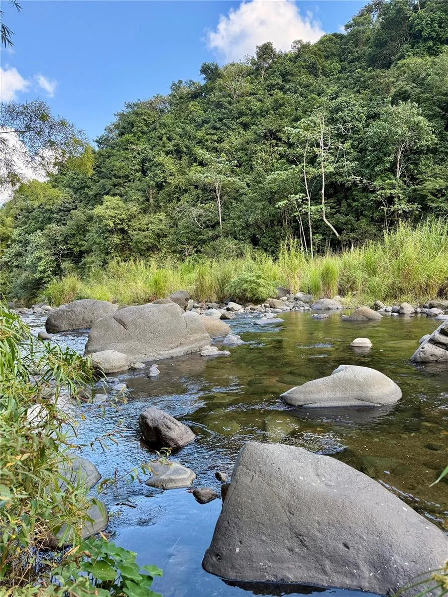 149 ROUTE #KM 18.3 Ciales, PR 00638