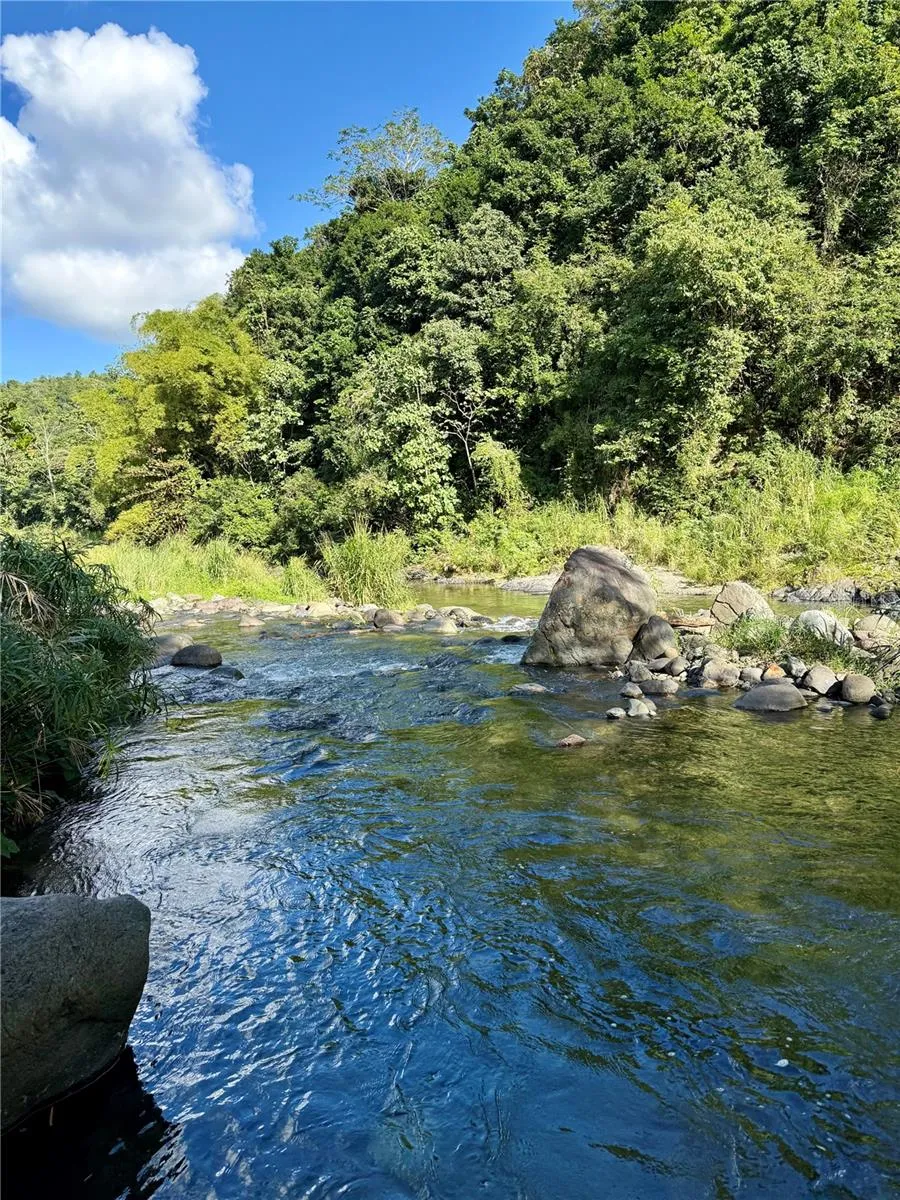 149 ROUTE #KM 18.3 Ciales, PR 00638