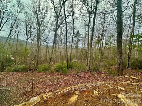 000 Orchard View Trail #11