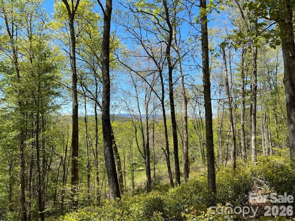 000 Orchard View Trail #11 Spruce Pine, NC 28777