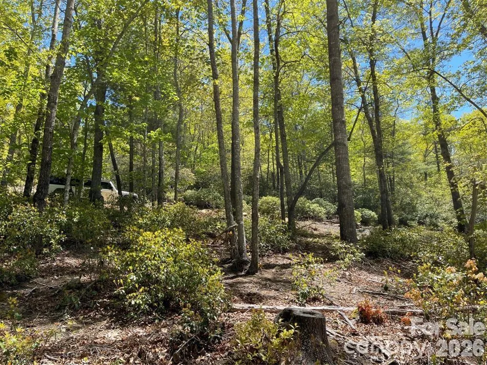 000 Orchard View Trail #11 Spruce Pine, NC 28777
