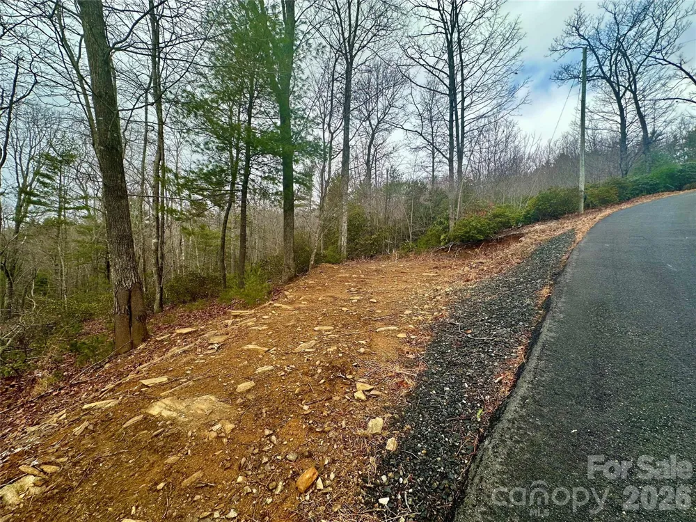 000 Orchard View Trail #11 Spruce Pine, NC 28777
