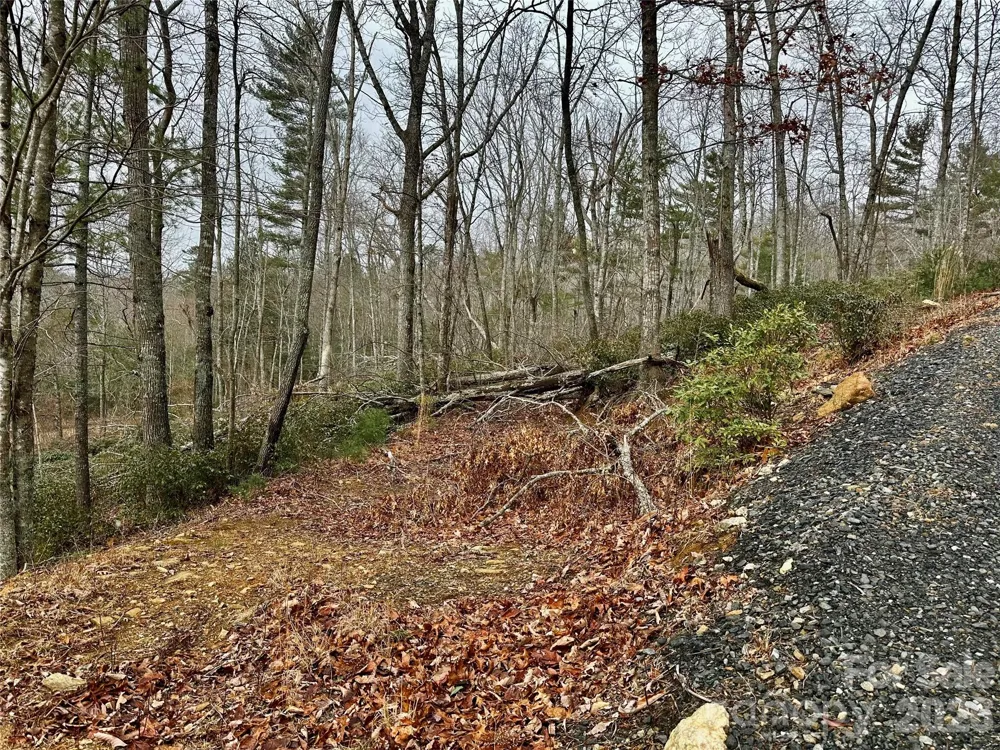 000 Orchard View Trail #11 Spruce Pine, NC 28777