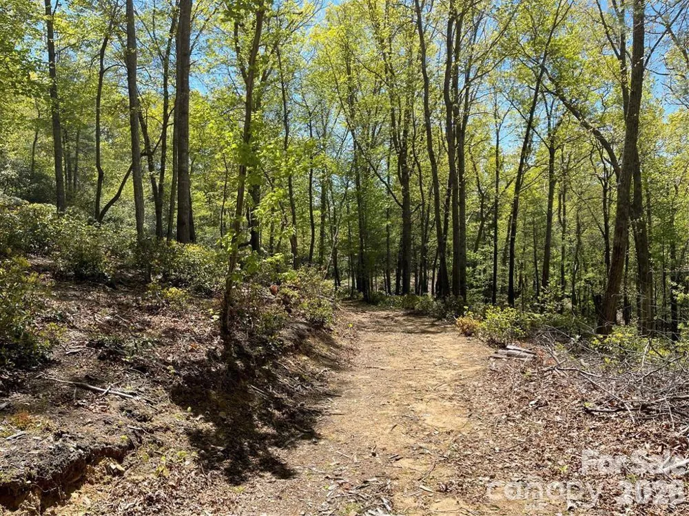 000 Orchard View Trail #11 Spruce Pine, NC 28777