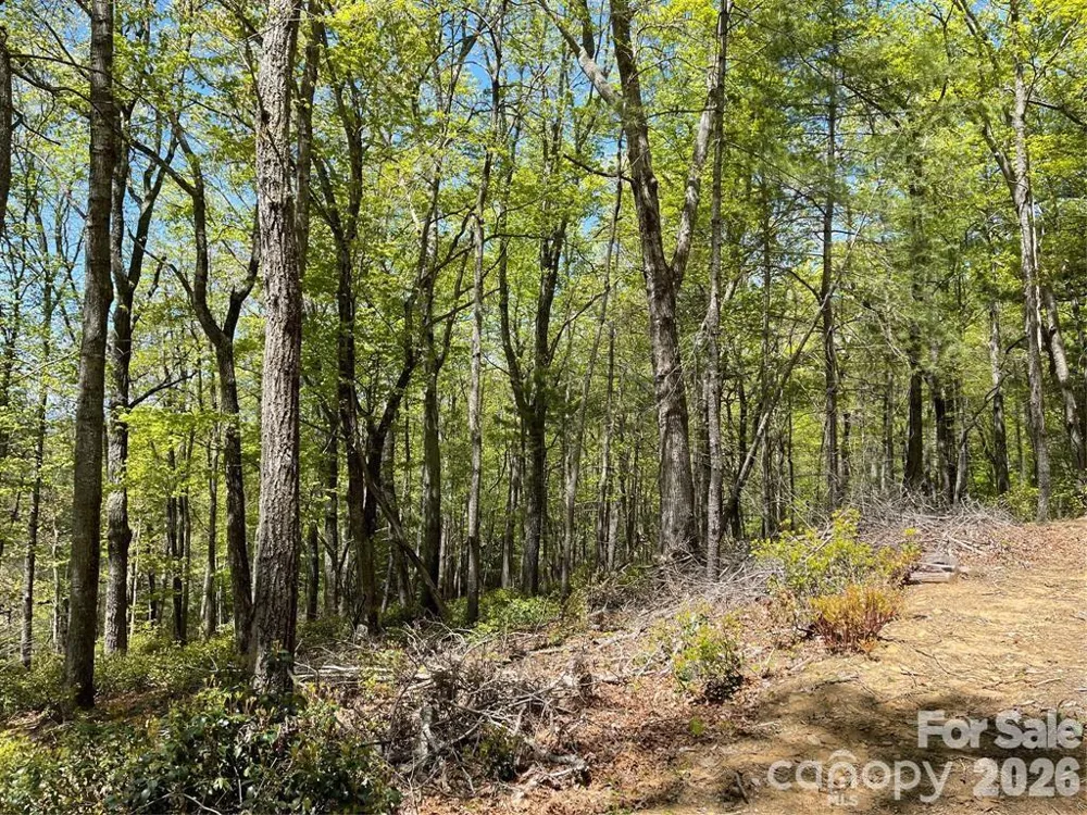 000 Orchard View Trail #11 Spruce Pine, NC 28777