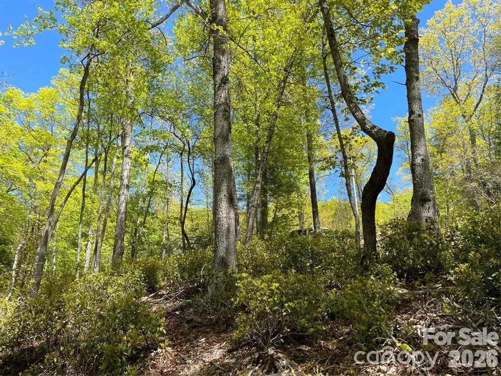 000 Orchard View Trail #11 Spruce Pine, NC 28777