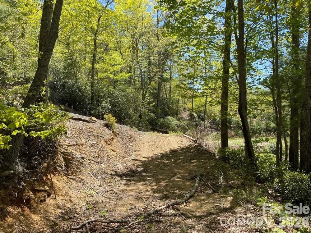 000 Orchard View Trail #11 Spruce Pine, NC 28777