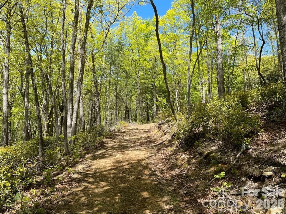 000 Orchard View Trail #11 Spruce Pine, NC 28777