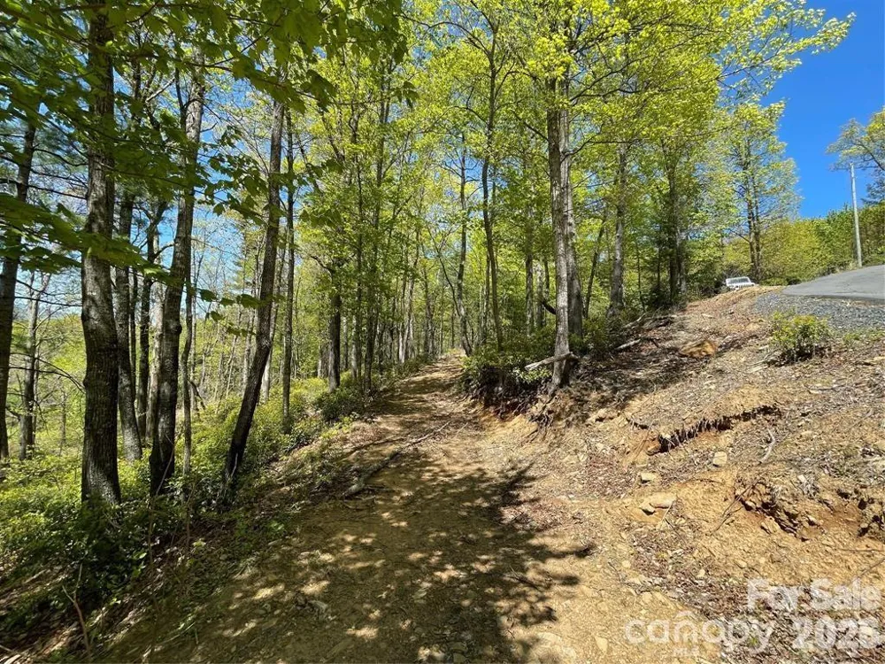 000 Orchard View Trail #11 Spruce Pine, NC 28777