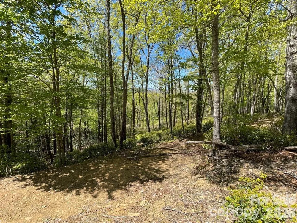 000 Orchard View Trail #11 Spruce Pine, NC 28777