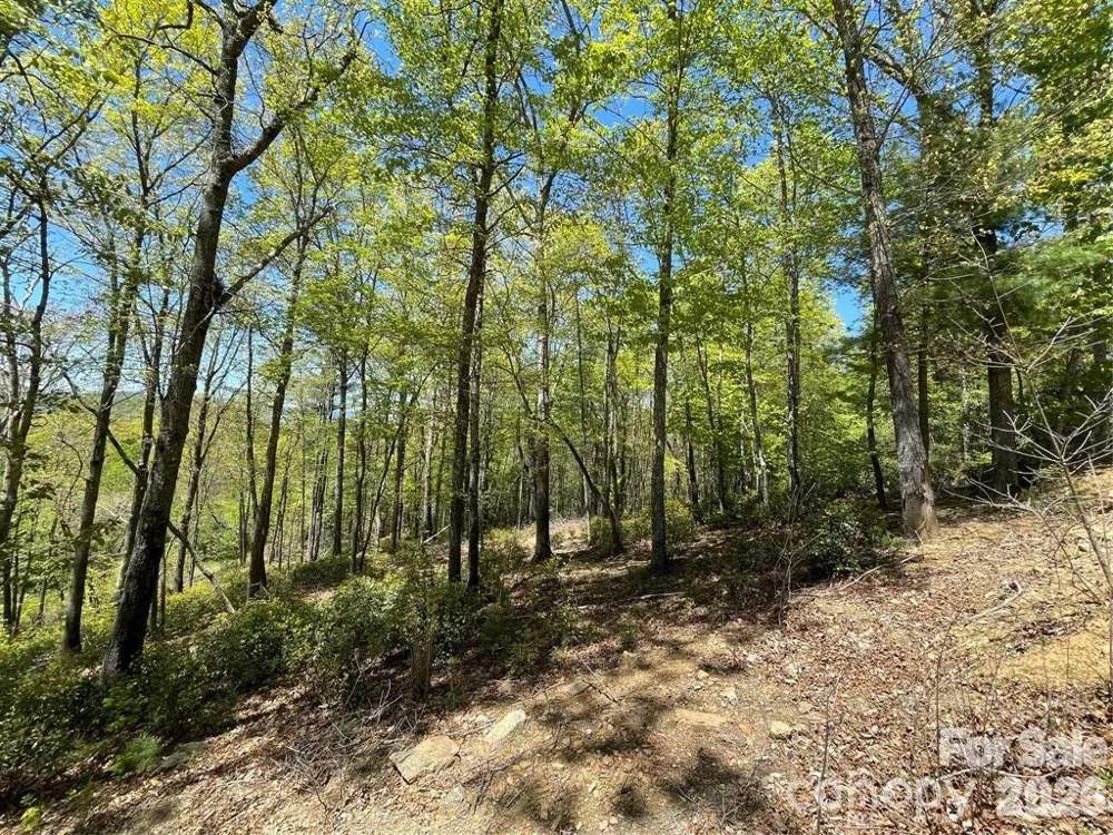 000 Orchard View Trail #11 Spruce Pine, NC 28777