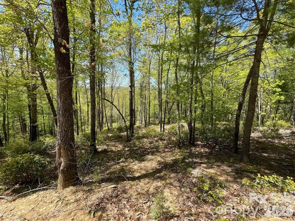 000 Orchard View Trail #11 Spruce Pine, NC 28777