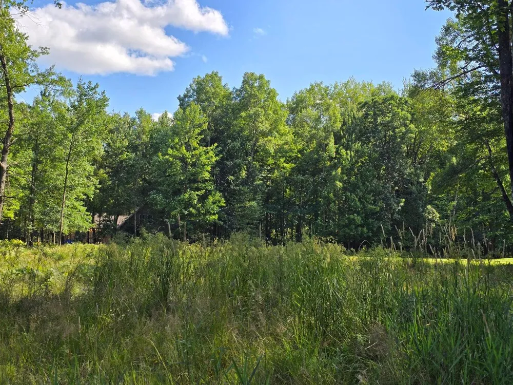 9397 Sunset Drive Stanwood, MI 49346
