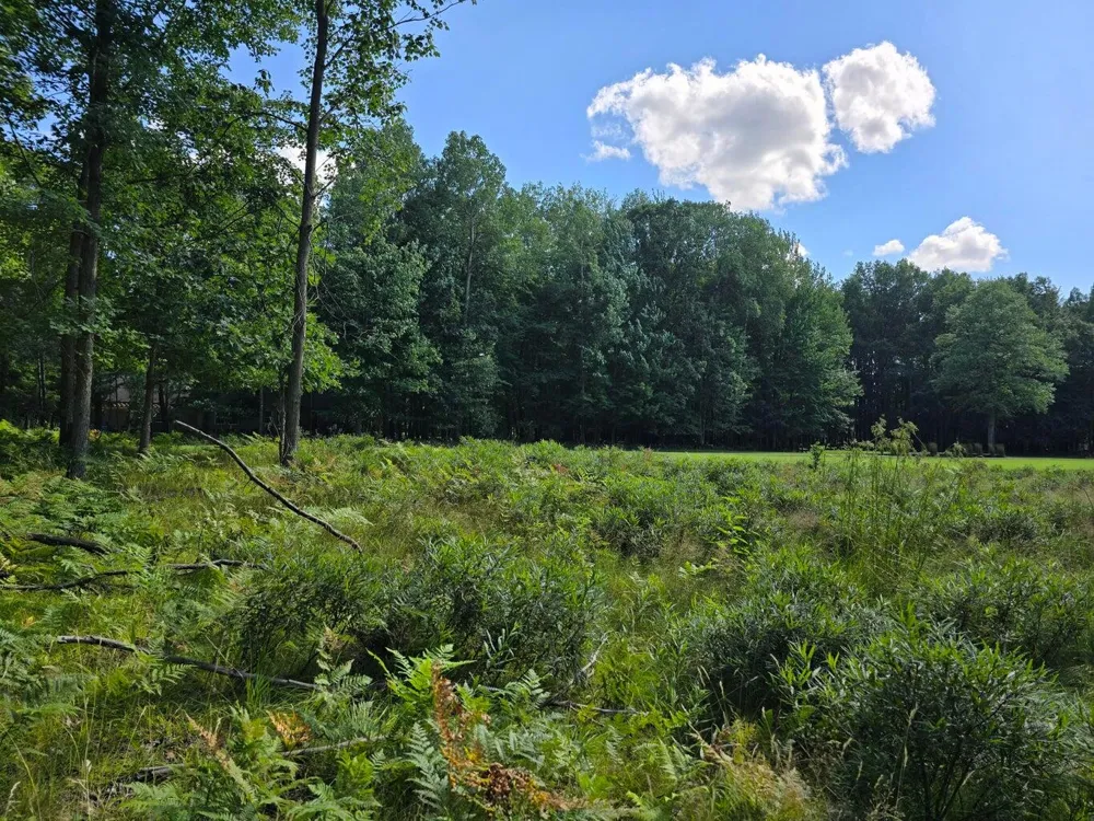 9397 Sunset Drive Stanwood, MI 49346