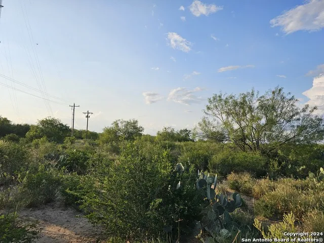 0 Hwy 83 Crystal City, TX 78839