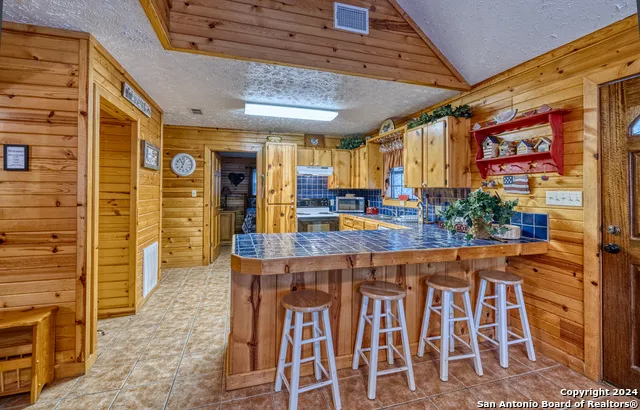 65 COMMANCHE CREEK RD Concan, TX 78838