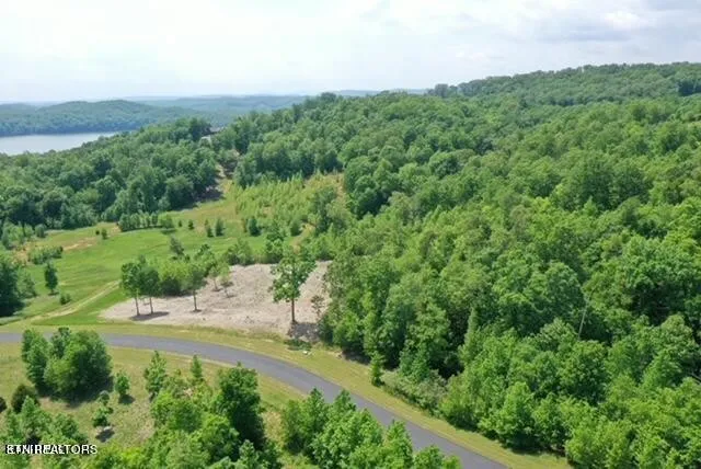 0 Water View Drive Rockwood, TN 37854