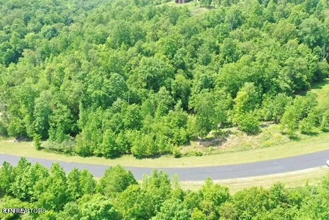 0 Water View Drive Rockwood, TN 37854