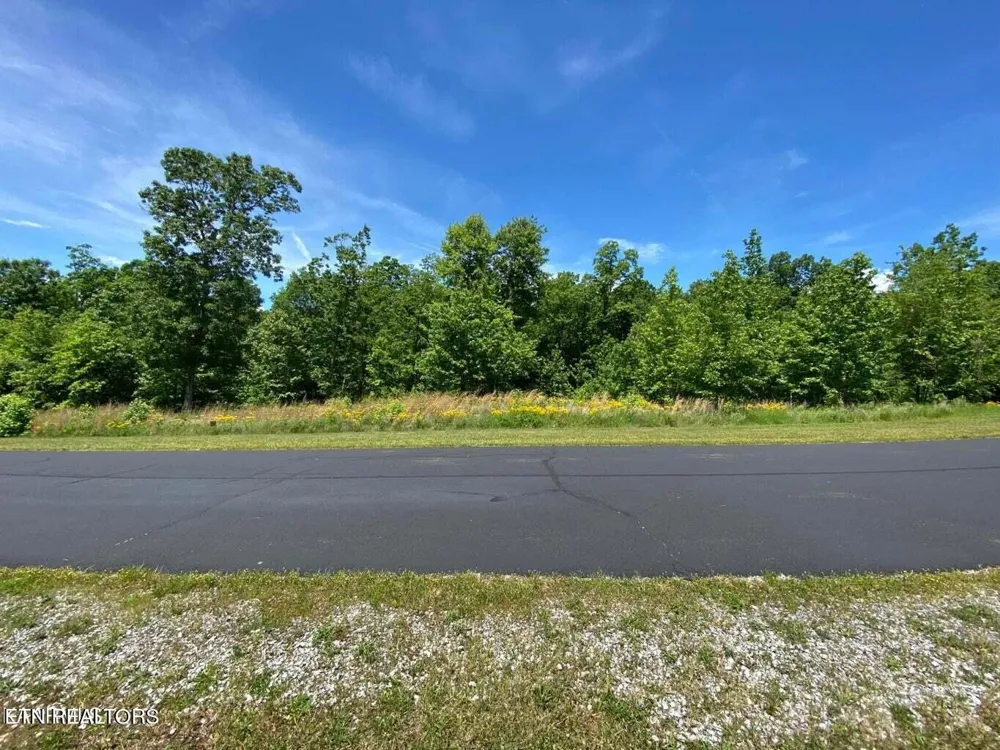 0 Water View Drive Rockwood, TN 37854