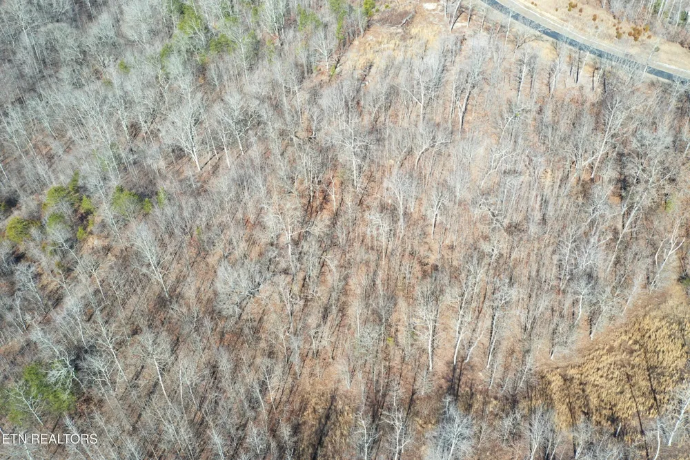 0 Water View Drive Rockwood, TN 37854