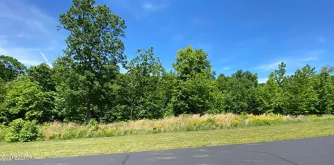 0 Water View Drive
