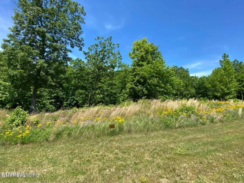 0 Water View Drive Rockwood, TN 37854