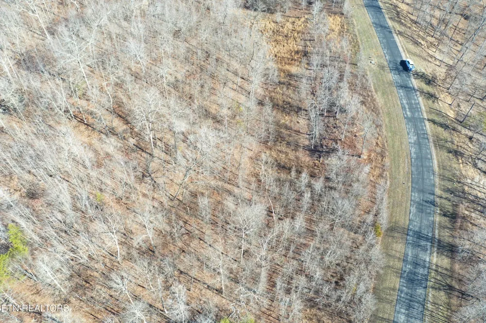 0 Water View Drive Rockwood, TN 37854