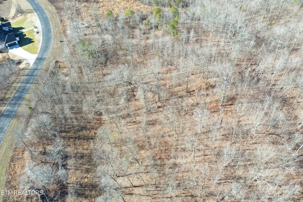 0 Water View Drive Rockwood, TN 37854