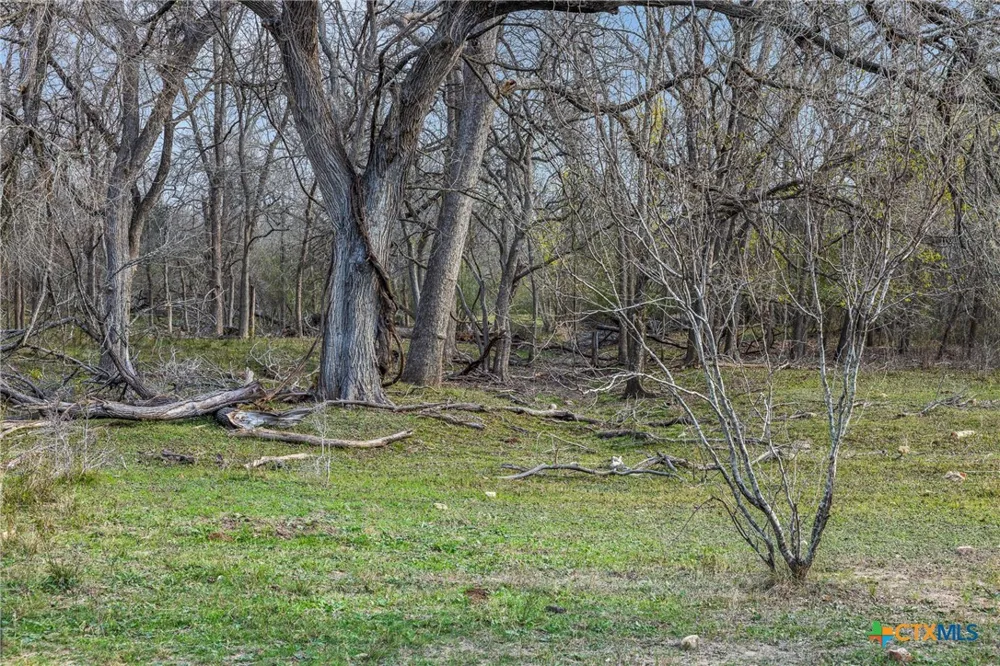 1144 Treetop Lane Luling, TX 78648