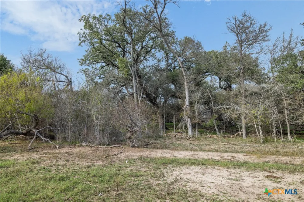 1144 Treetop Lane Luling, TX 78648