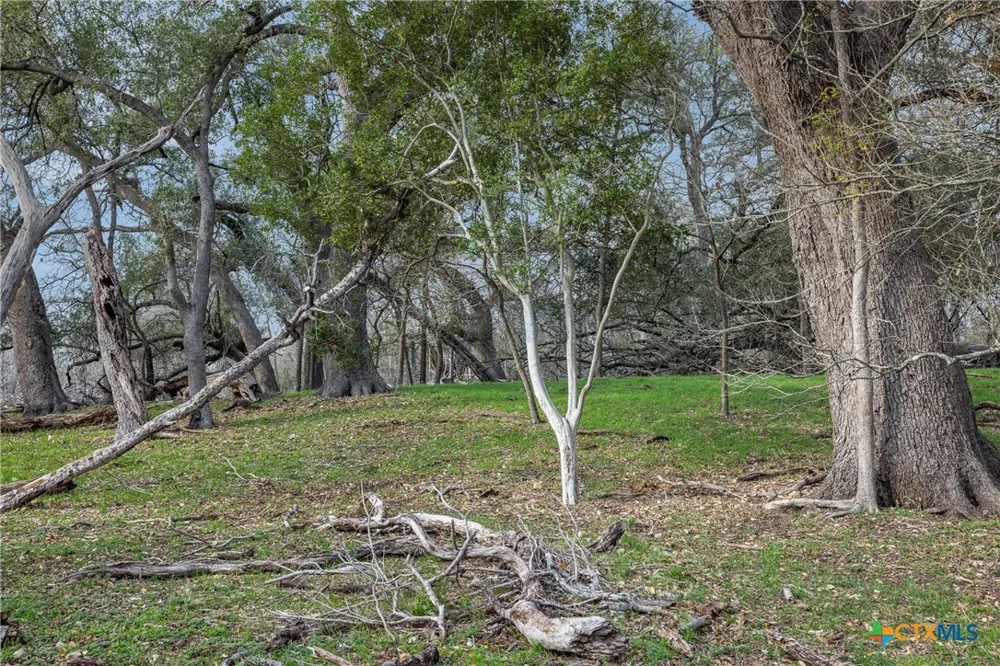 1144 Treetop Lane Luling, TX 78648