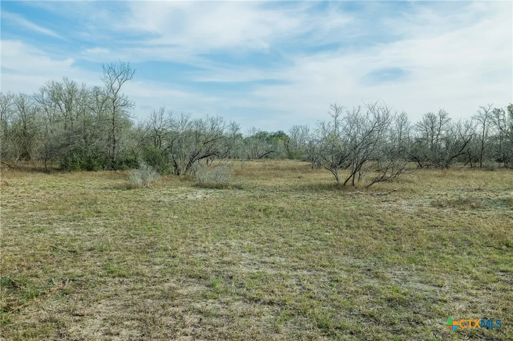 1144 Treetop Lane Luling, TX 78648