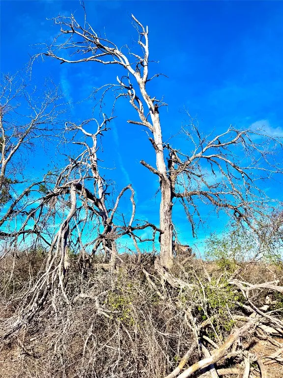 Scull Road Martindale, TX 78655