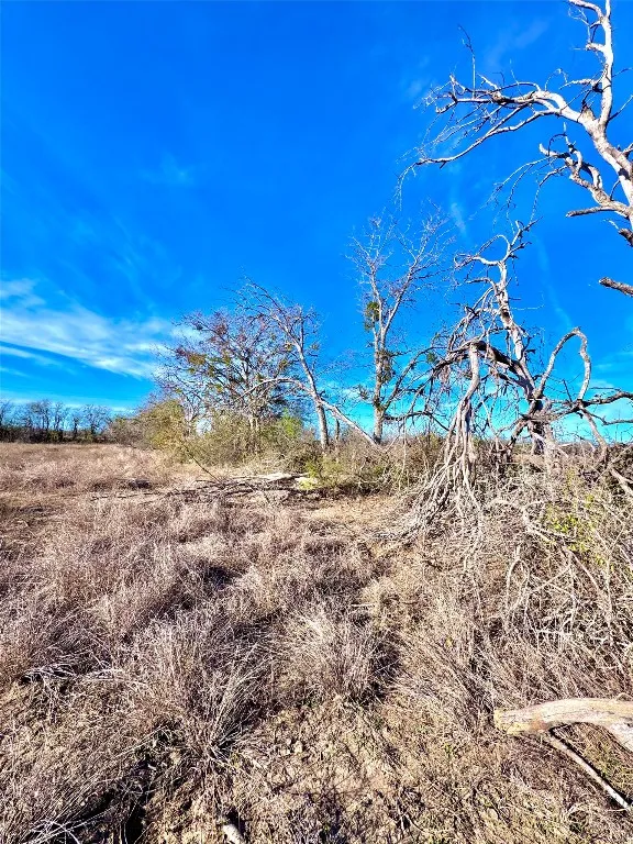Scull Road Martindale, TX 78655