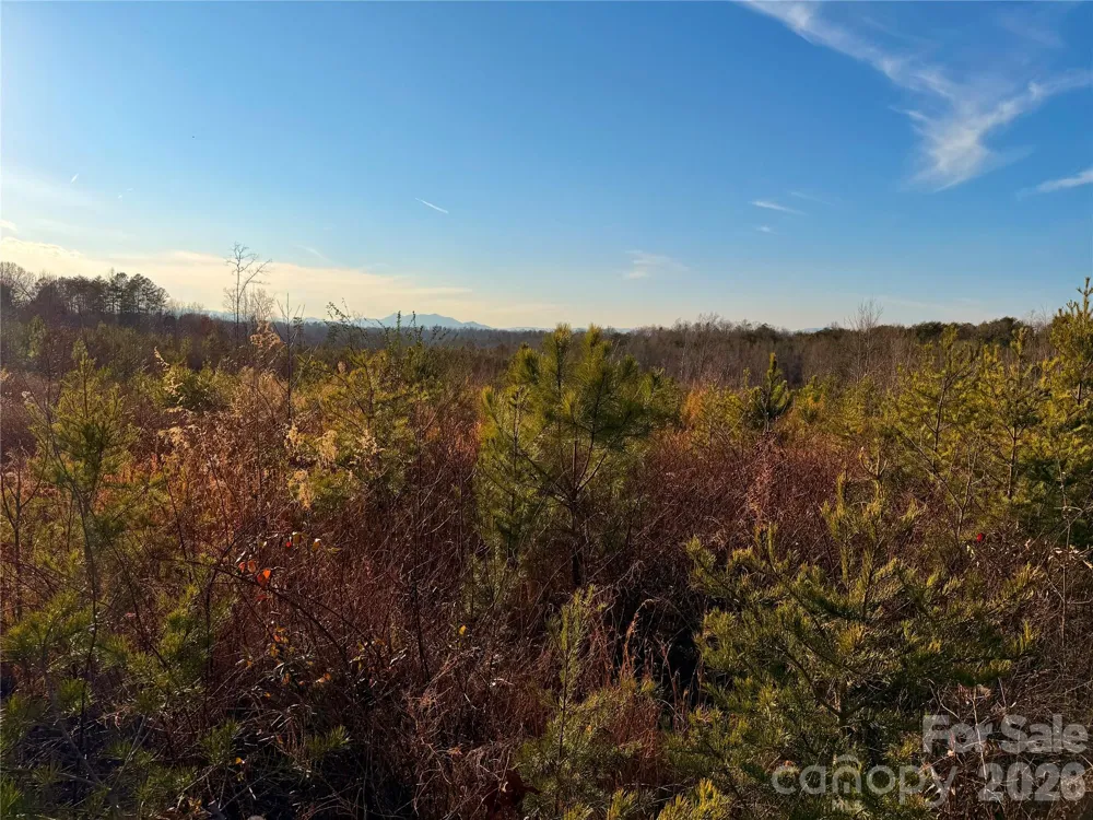 0 Brady Hampton Drive Rutherfordton, NC 28139