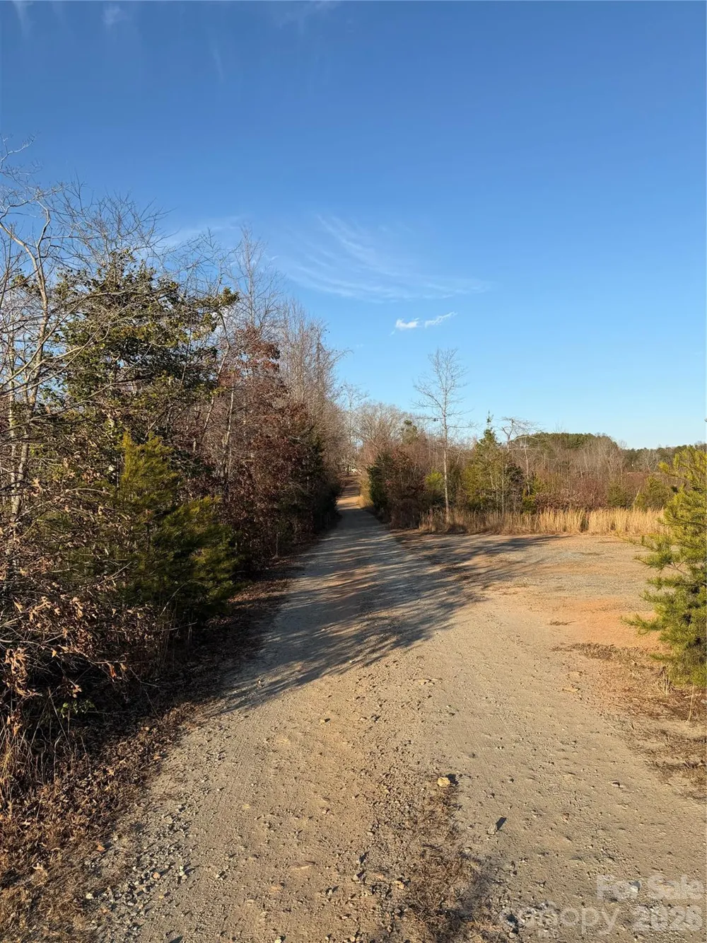 0 Brady Hampton Drive Rutherfordton, NC 28139