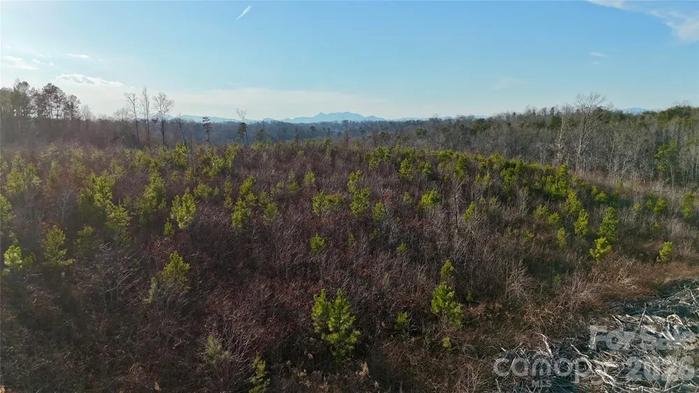 0 Brady Hampton Drive Rutherfordton, NC 28139