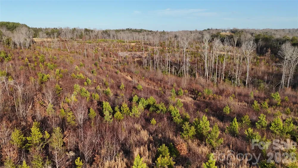 0 Brady Hampton Drive Rutherfordton, NC 28139