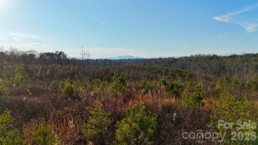 0 Brady Hampton Drive Rutherfordton, NC 28139