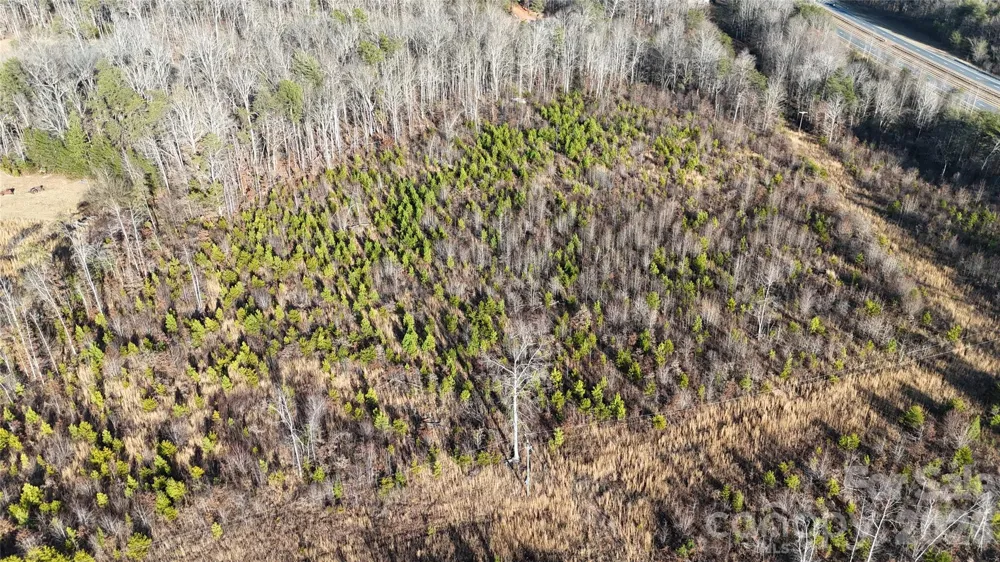 0 Brady Hampton Drive Rutherfordton, NC 28139