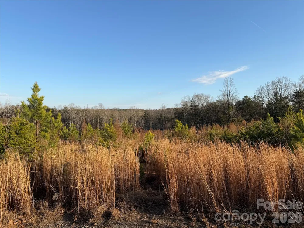 0 Brady Hampton Drive Rutherfordton, NC 28139