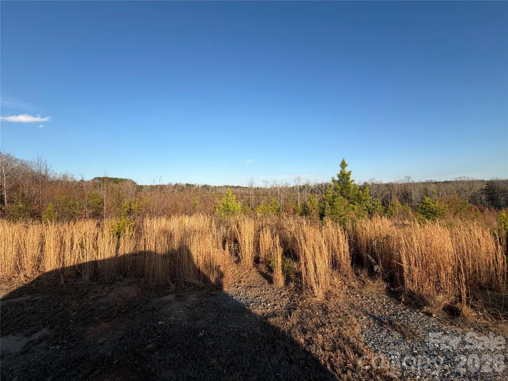 0 Brady Hampton Drive Rutherfordton, NC 28139