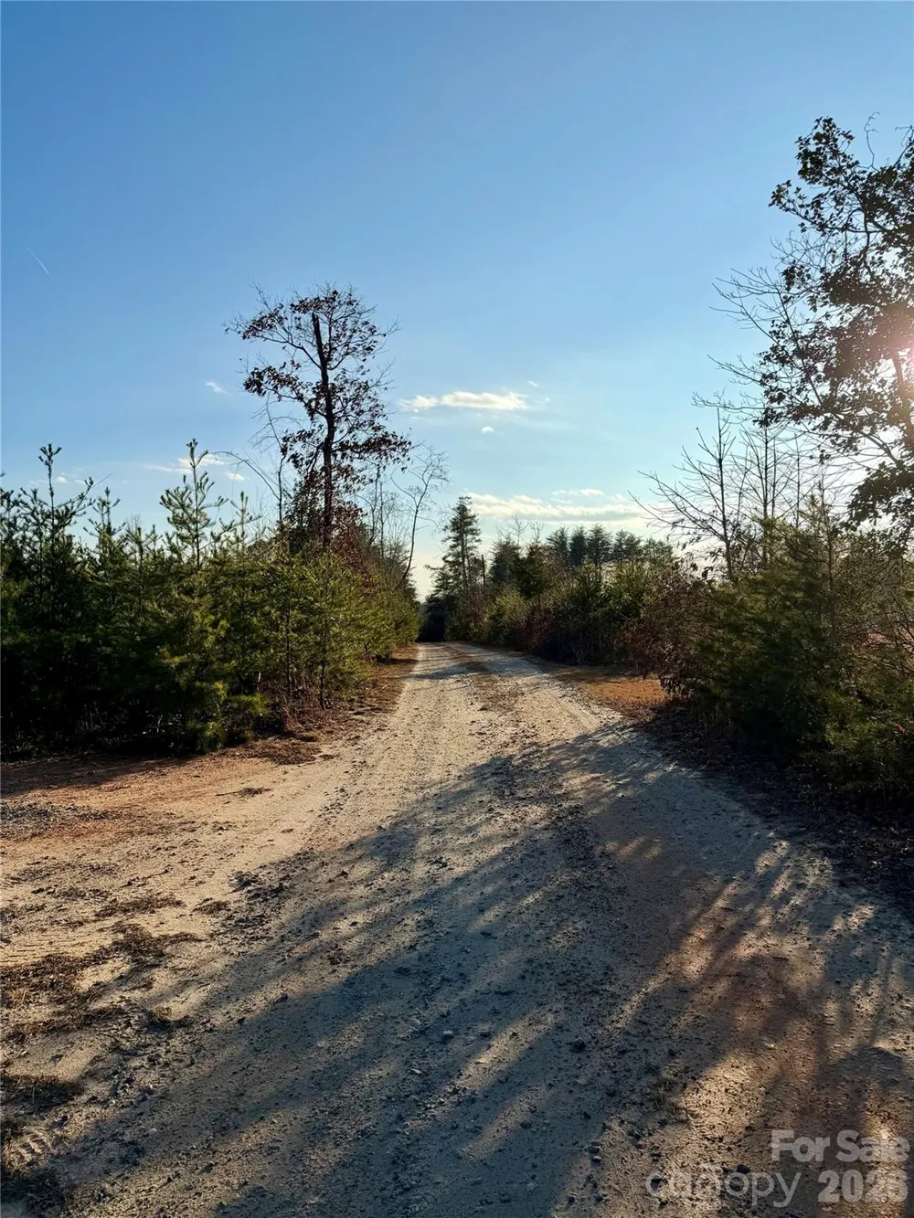 0 Brady Hampton Drive Rutherfordton, NC 28139